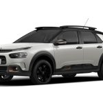 Miniatura 0