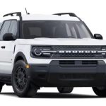 Miniatura 0