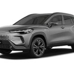 Miniatura 0